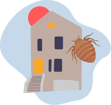 Bed Bugs
