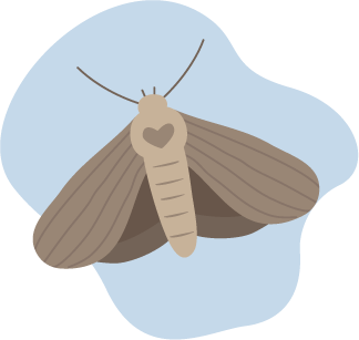 Moths