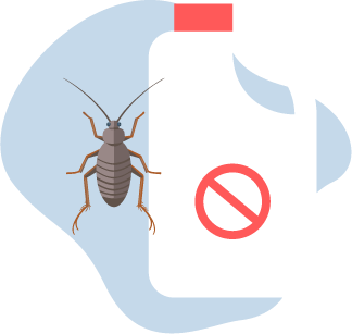 Cockroaches