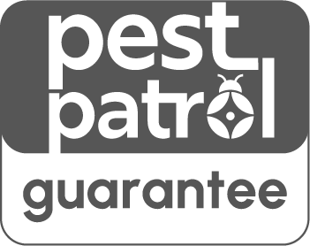 pestpatrol guarantee in London